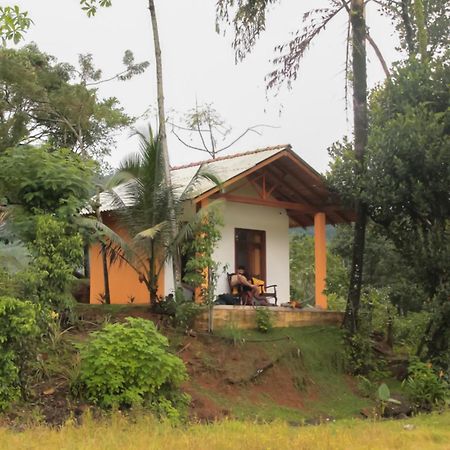 Serene Sinharaja Hotel Deniyaya Buitenkant foto
