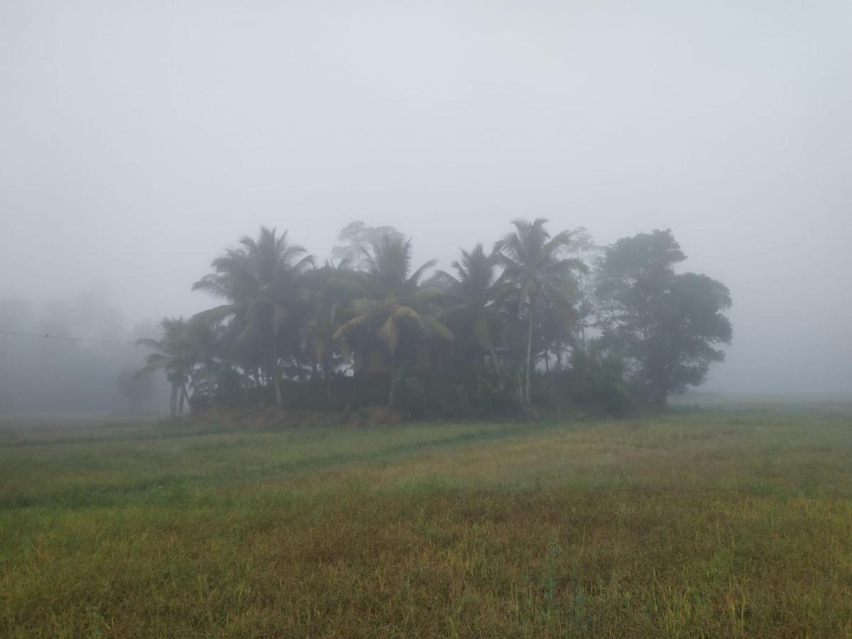 Serene Sinharaja Hotel Deniyaya Buitenkant foto