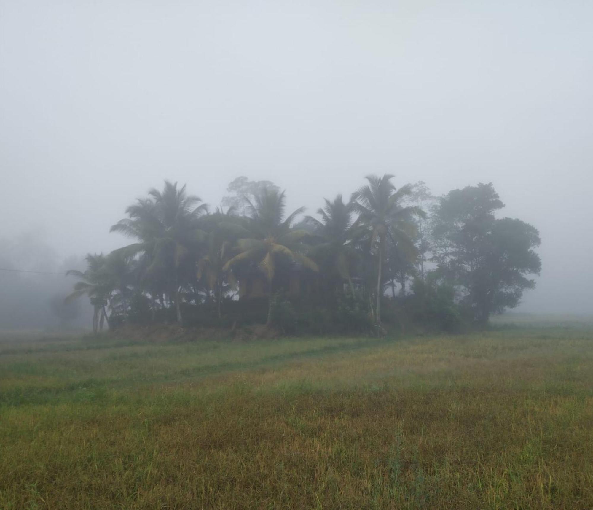 Serene Sinharaja Hotel Deniyaya Buitenkant foto