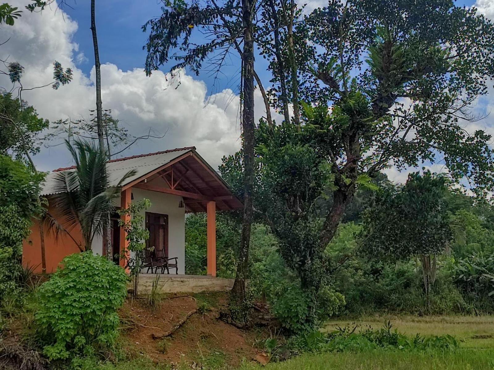 Serene Sinharaja Hotel Deniyaya Buitenkant foto