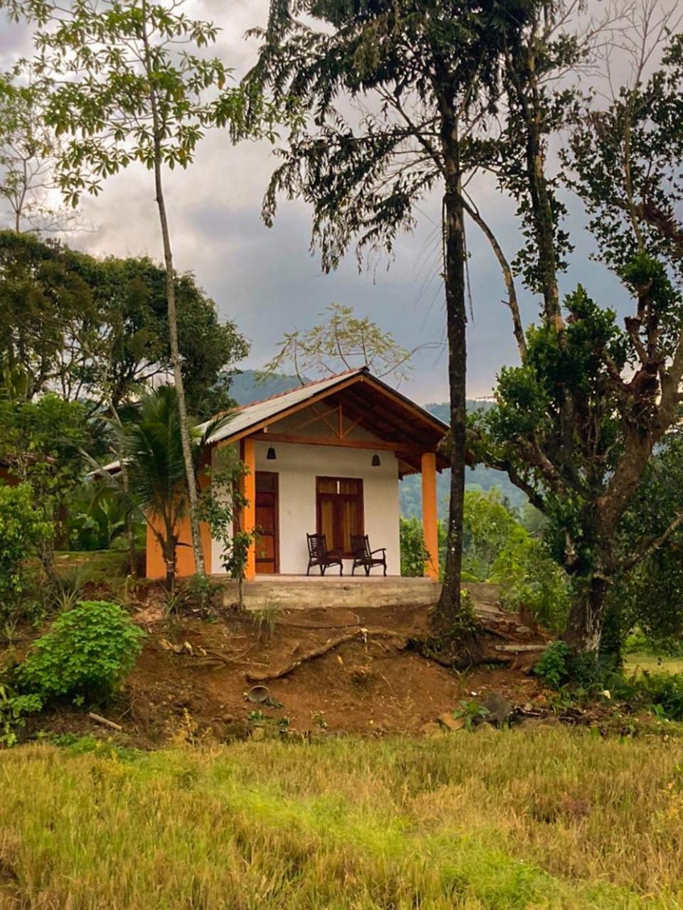 Serene Sinharaja Hotel Deniyaya Buitenkant foto