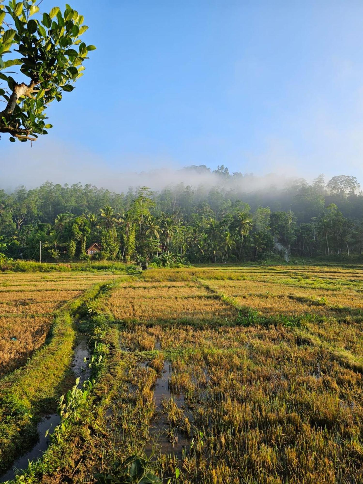 Serene Sinharaja Hotel Deniyaya Buitenkant foto