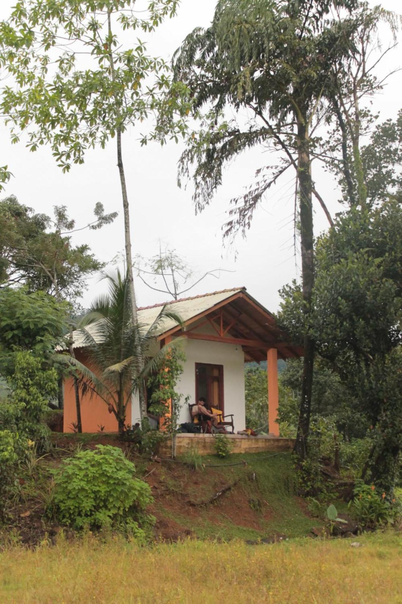 Serene Sinharaja Hotel Deniyaya Kamer foto