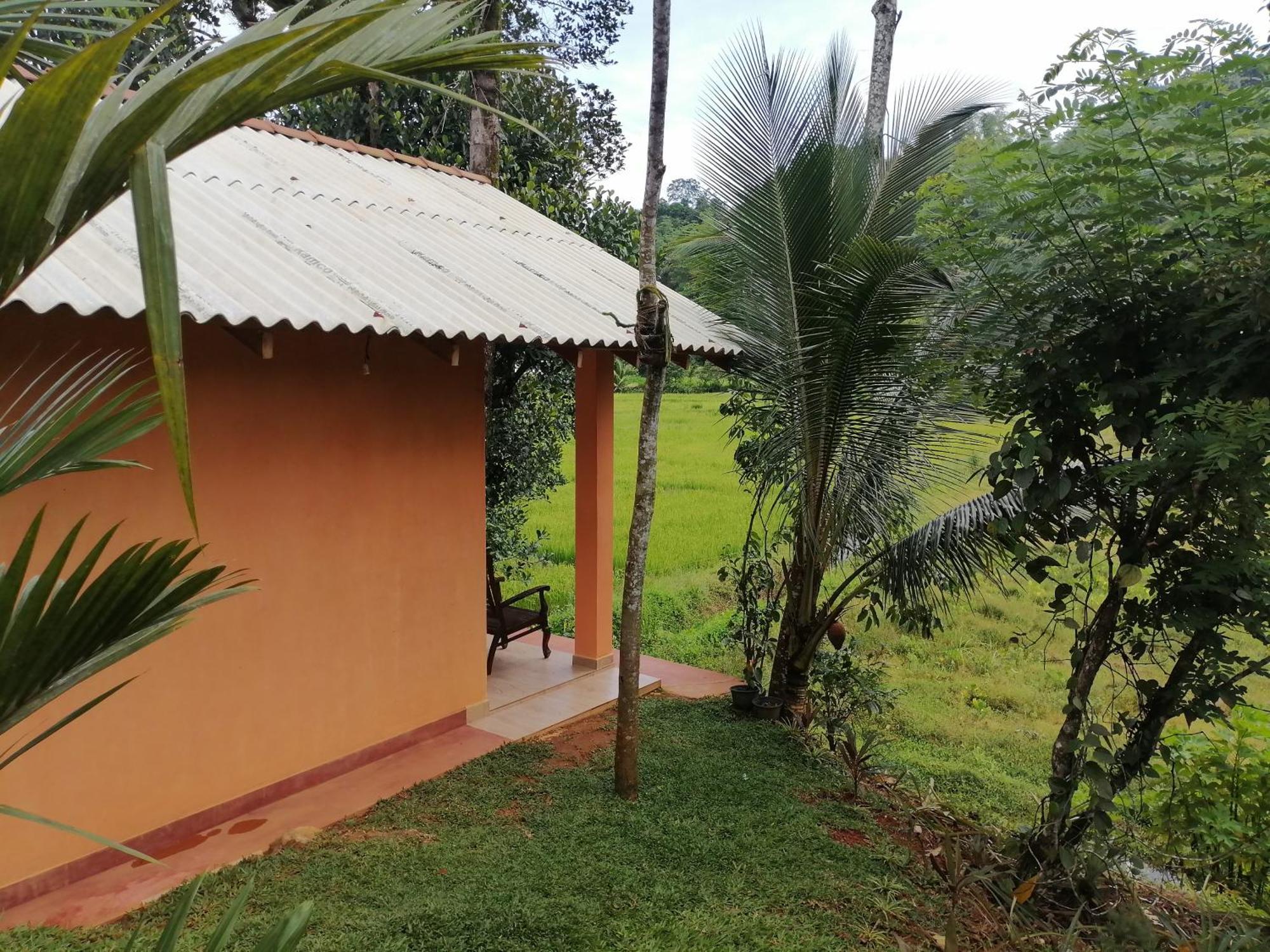 Serene Sinharaja Hotel Deniyaya Kamer foto